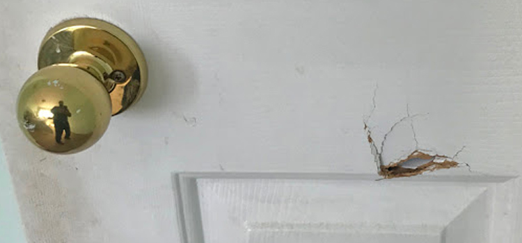 interior door hole repair Laguna Woods